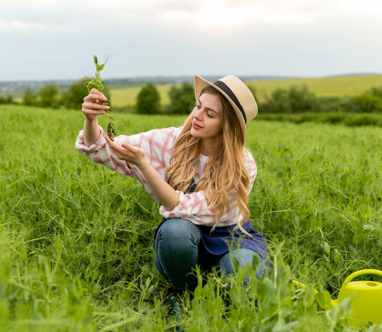 Agriculture image