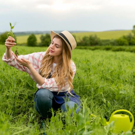 Agriculture